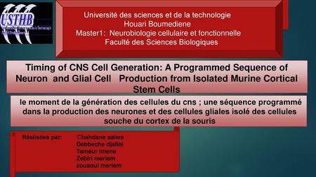 Université des sciences et de la technologie  Houari Boumediene Master1: Neurobiologie cellulaire.
