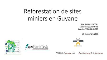 Reforestation de sites miniers en Guyane
