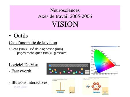 Neurosciences Axes de travail VISION