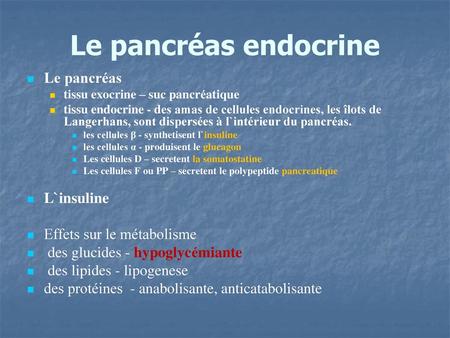 Le pancréas endocrine Le pancréas L`insuline Effets sur le métabolisme