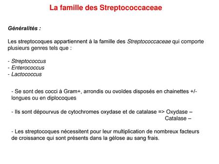 La famille des Streptococcaceae