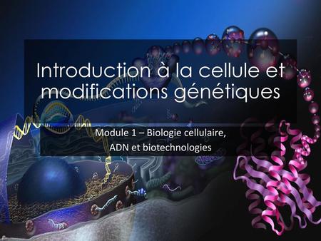 Introduction à la cellule et modifications génétiques