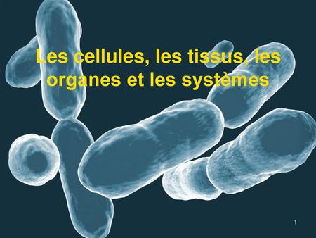 Les cellules, les tissus, les organes et les systèmes