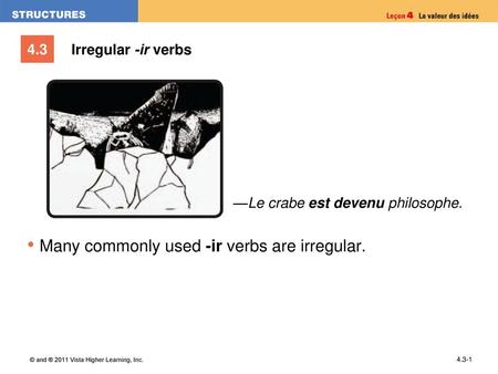 Many commonly used -ir verbs are irregular.