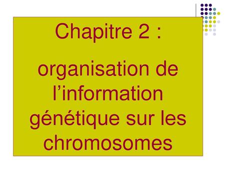 organisation de l’information génétique sur les chromosomes