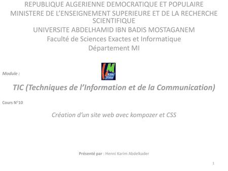 TIC (Techniques de l’Information et de la Communication)