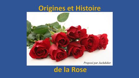 Origines et Histoire de la Rose
