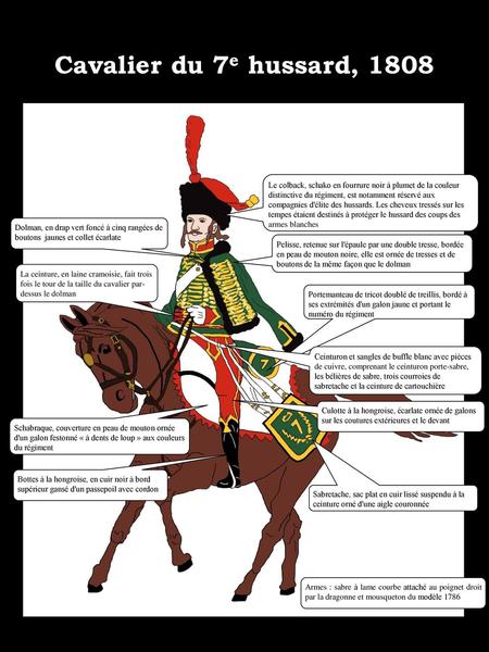 Cavalier du 7e hussard, 1808 Le colback, schako en fourrure noir à plumet de la couleur distinctive du régiment, est notamment réservé aux compagnies d'élite.