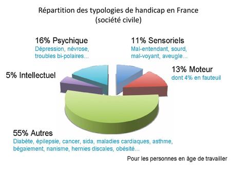 Répartition des typologies de handicap en France (société civile)
