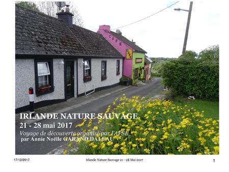 Irlande Nature Sauvage Mai 2017