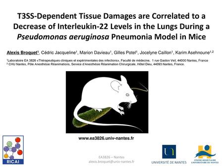T3SS-Dependent Tissue Damages are Correlated to a Decrease of Interleukin-22 Levels in the Lungs During a Pseudomonas aeruginosa Pneumonia Model in Mice.