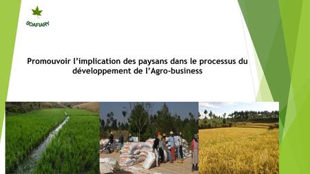SOAFIARY Promouvoir l’implication des paysans dans le processus du développement de l’Agro-business  