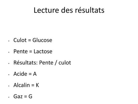 Lecture des résultats Culot = Glucose Pente = Lactose