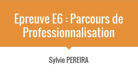 Epreuve E6 : Parcours de Professionnalisation