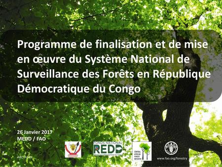 Programme de finalisation et de mise en œuvre du Système National de Surveillance des Forêts en République Démocratique du Congo 26 Janvier 2017 MEDD /