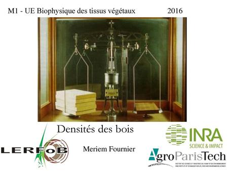 Densités des bois M1 - UE Biophysique des tissus végétaux 2016