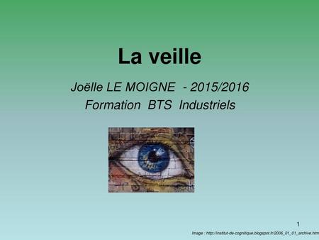 Joëlle LE MOIGNE /2016 Formation BTS Industriels