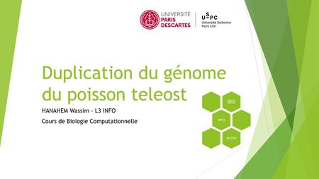 Duplication du génome du poisson teleost