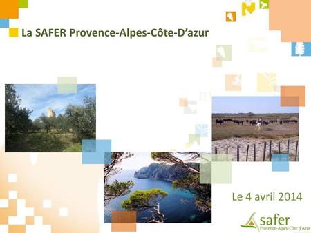 La SAFER Provence-Alpes-Côte-D’azur