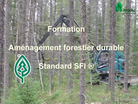 Aménagement forestier durable
