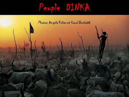 Peuple DINKA Photos: Angela Fisher et Carol Beckwith.