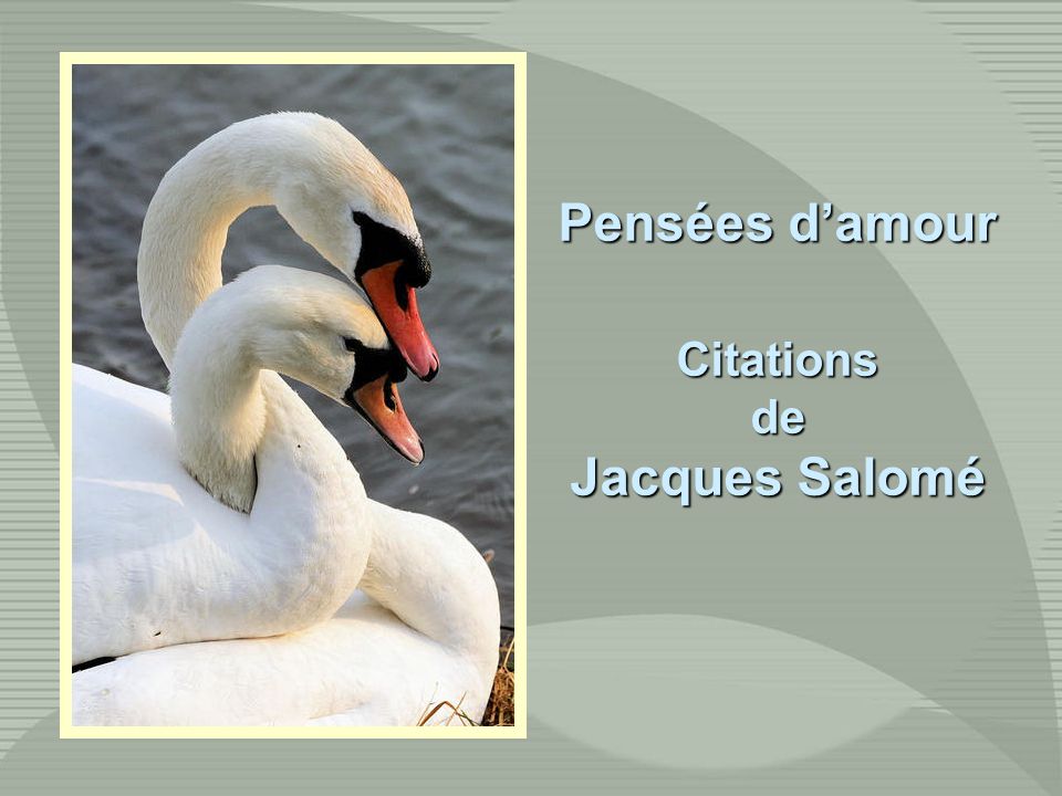 Pensees D Amour Citations De Jacques Salome Ppt Video Online Telecharger