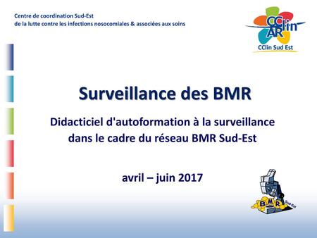 Surveillance des BMR Didacticiel d'autoformation à la surveillance