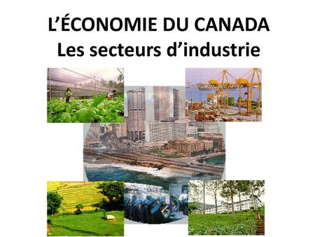 L’ÉCONOMIE DU CANADA Les secteurs d’industrie