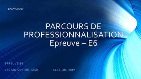 PARCOURS DE PROFESSIONNALISATION Epreuve – E6