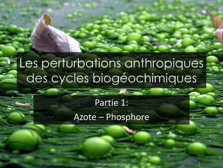 Les perturbations anthropiques des cycles biogéochimiques