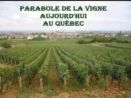 Parabole de la vigne aujourd'hui au Québec.