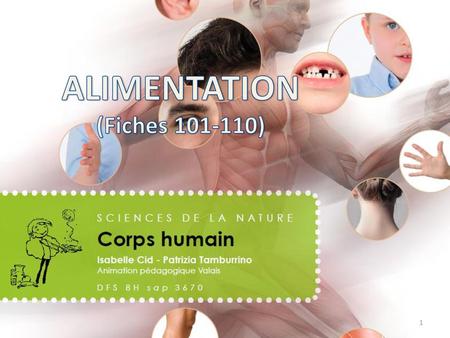 ALIMENTATION (Fiches )