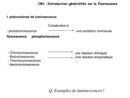 Q. Exemples de luminescences?