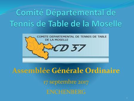 Comité Départemental de Tennis de Table de la Moselle