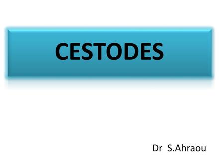 CESTODES Dr S.Ahraou.
