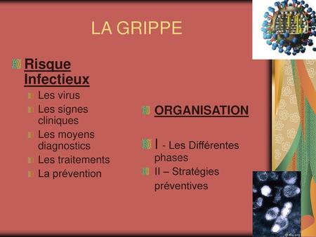 LA GRIPPE Risque Infectieux I - Les Différentes phases ORGANISATION