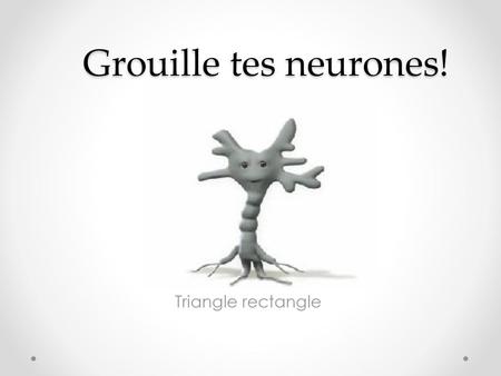 Grouille tes neurones! Triangle rectangle.