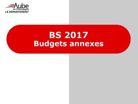 BS 2017 Budgets annexes.