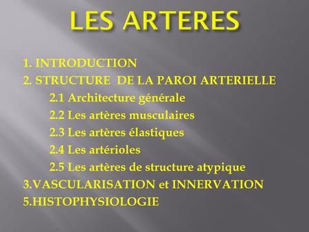 LES ARTERES 1. INTRODUCTION 2. STRUCTURE DE LA PAROI ARTERIELLE 2.1 Architecture générale 2.2 Les artères musculaires 2.3 Les artères élastiques 2.4 Les.