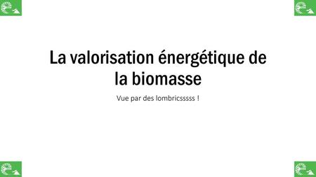 La valorisation énergétique de la biomasse