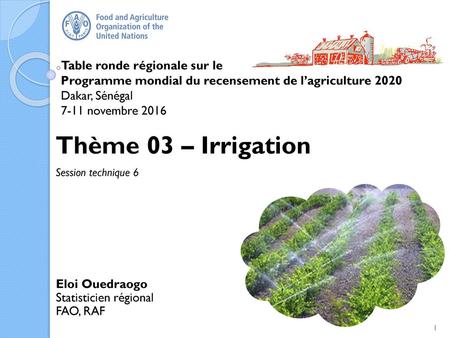 Thème 03 – Irrigation Table ronde régionale sur le