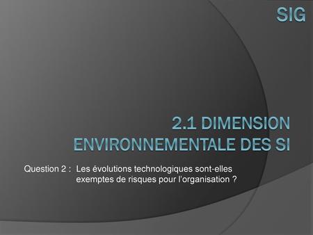 2.1 Dimension environnementale des SI