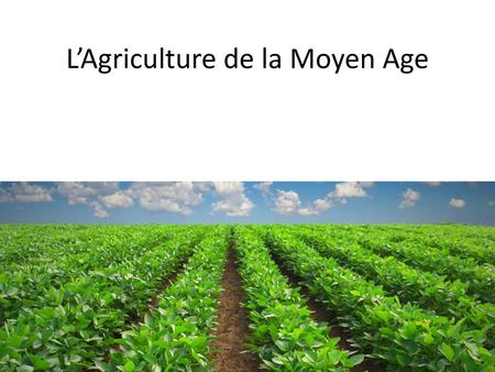 L’Agriculture de la Moyen Age