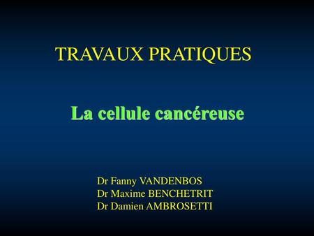 TRAVAUX PRATIQUES La cellule cancéreuse Dr Fanny VANDENBOS