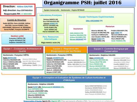 Organigramme PSH: juillet 2016