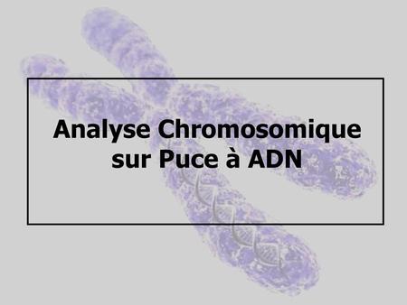 Analyse Chromosomique sur Puce à ADN