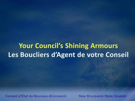 Your Council’s Shining Armours Les Boucliers d’Agent de votre Conseil