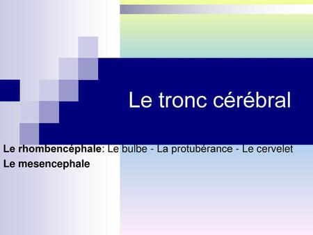 Le tronc cérébral Le rhombencéphale: Le bulbe - La protubérance - Le cervelet Le mesencephale.