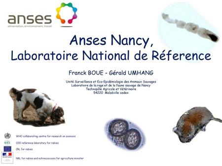 Anses Nancy, Laboratoire National de Réference