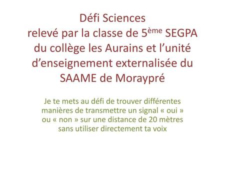 Défi Sciences relevé par la classe de 5ème SEGPA du collège les Aurains et l’unité d’enseignement externalisée du SAAME de Moraypré Je te mets au défi.